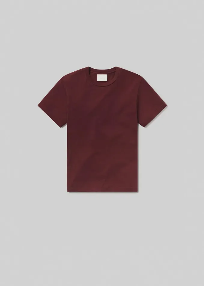 Citizens Of Humanity Everyday Short Sleeve Tee In Smoked Hazel Men Shirts