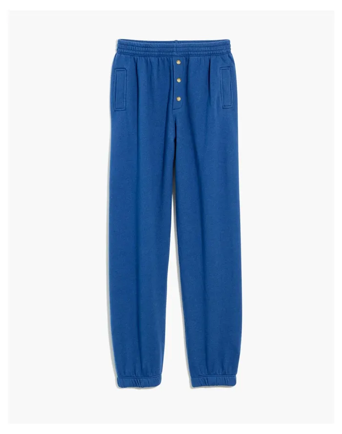 Donni Vintage Fleece Jogger Sweatpants Blueberry Women Madewell Sweatshirts and Sweatpants