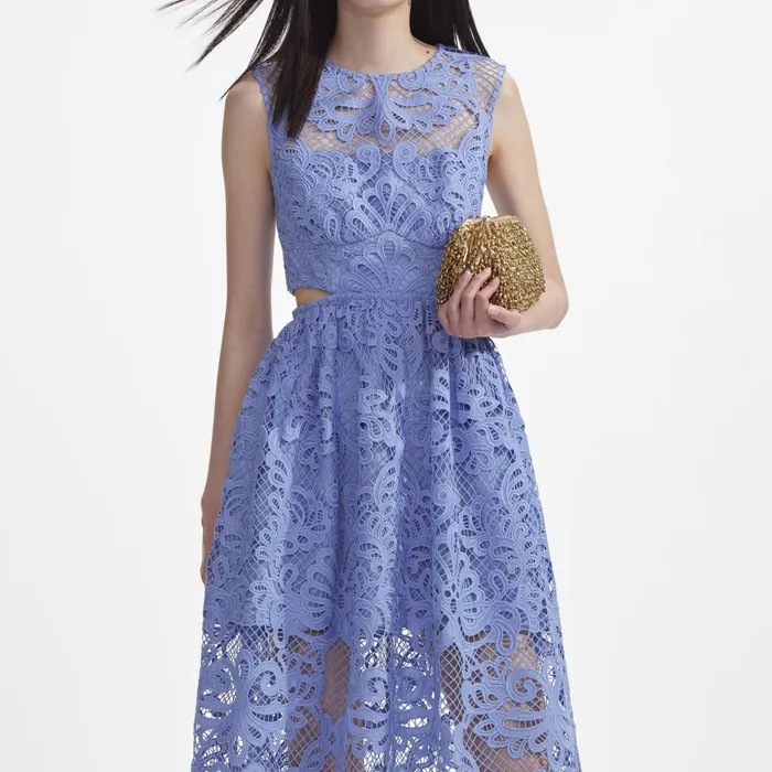 Dresses Women Self Portrait Blue Lace Cut Out Midi Dress