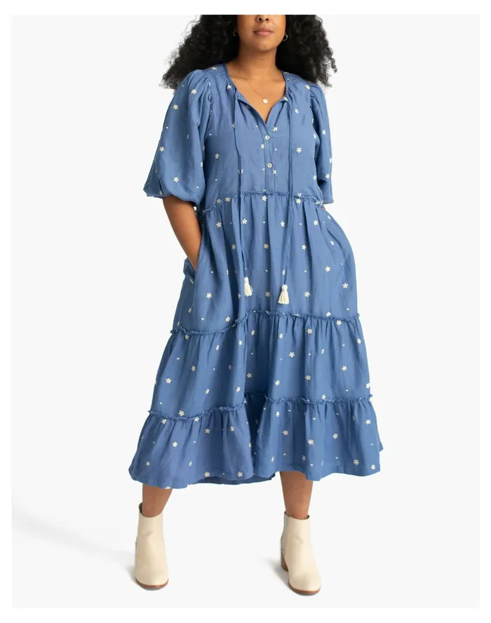 HarperSage Secret Garden Dress Blue Women Madewell Dresses