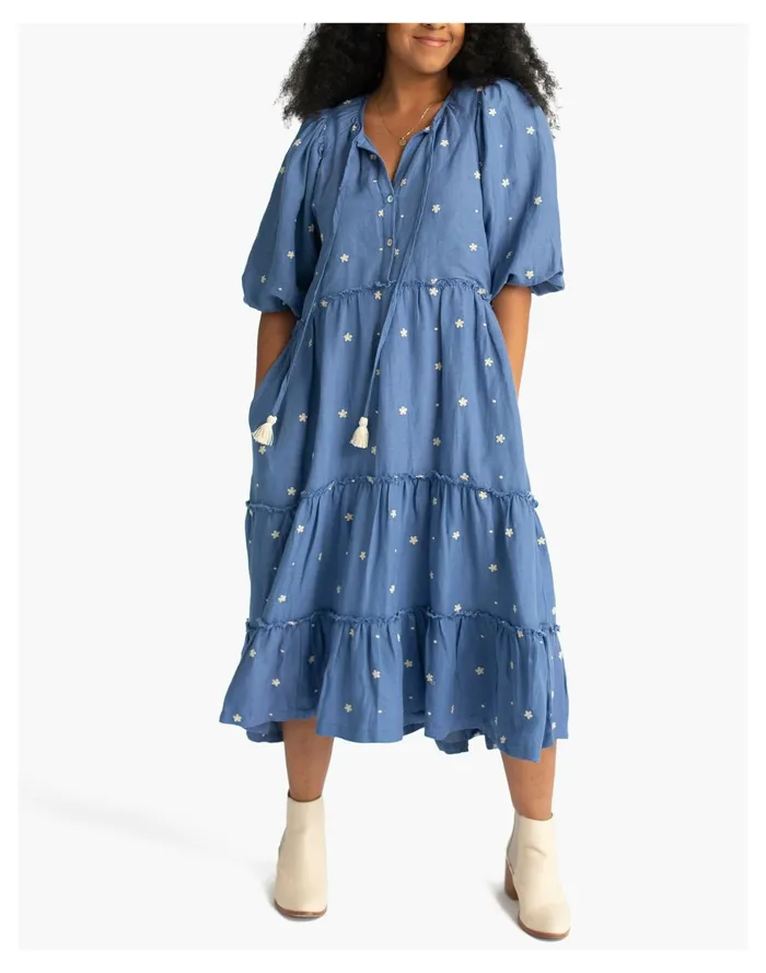 HarperSage Secret Garden Dress Blue Women Madewell Dresses