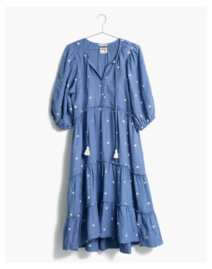 HarperSage Secret Garden Dress Blue Women Madewell Dresses