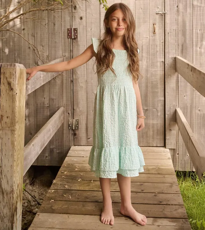 Hatley Dresses Girls Girls Gingham Seersucker Smocked Dress