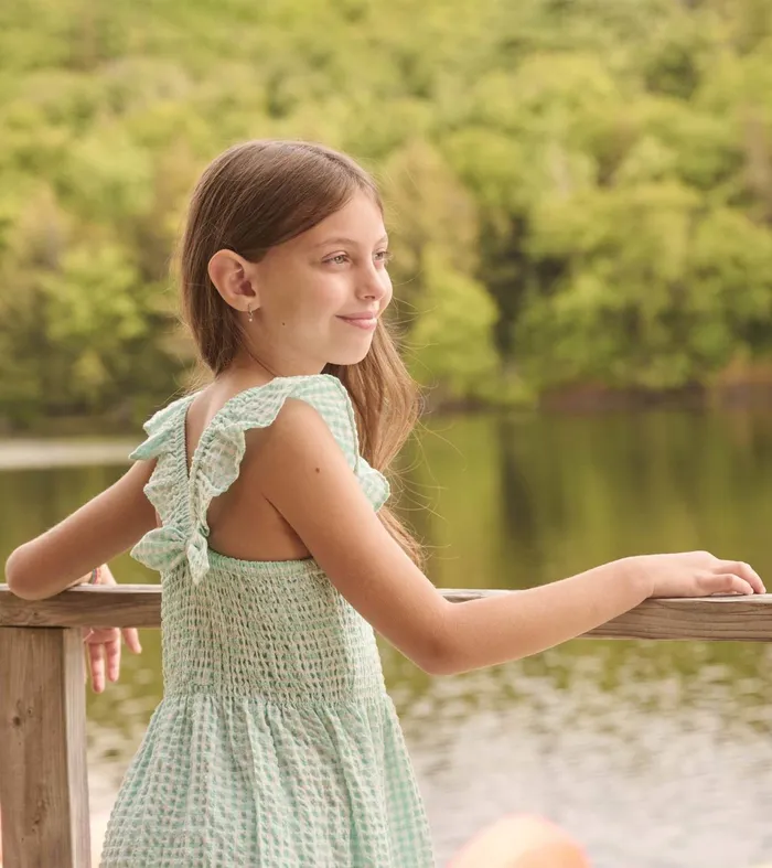 Hatley Dresses Girls Girls Gingham Seersucker Smocked Dress