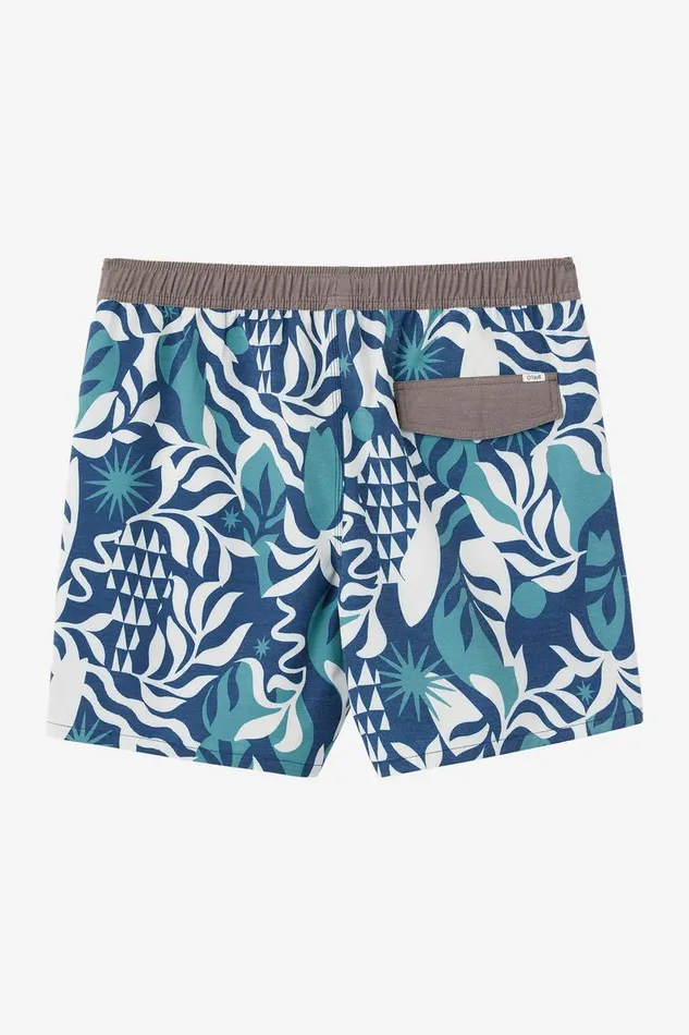 O039NEILL O039RIGINALS VOLLEY 16034 SWIM TRUNKS Midnight Navy Men Featured