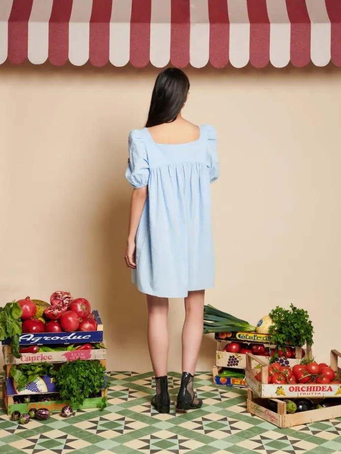 Sister Jane Dresses Women Barn Rose Mini Dress Baby Blue