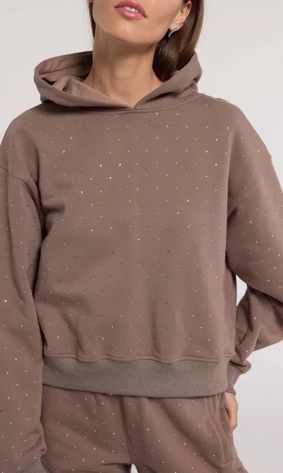 Sweaters and Sweatshirts Women Generation Love Clothing Renae Crystal Hoodie Truffletruffle