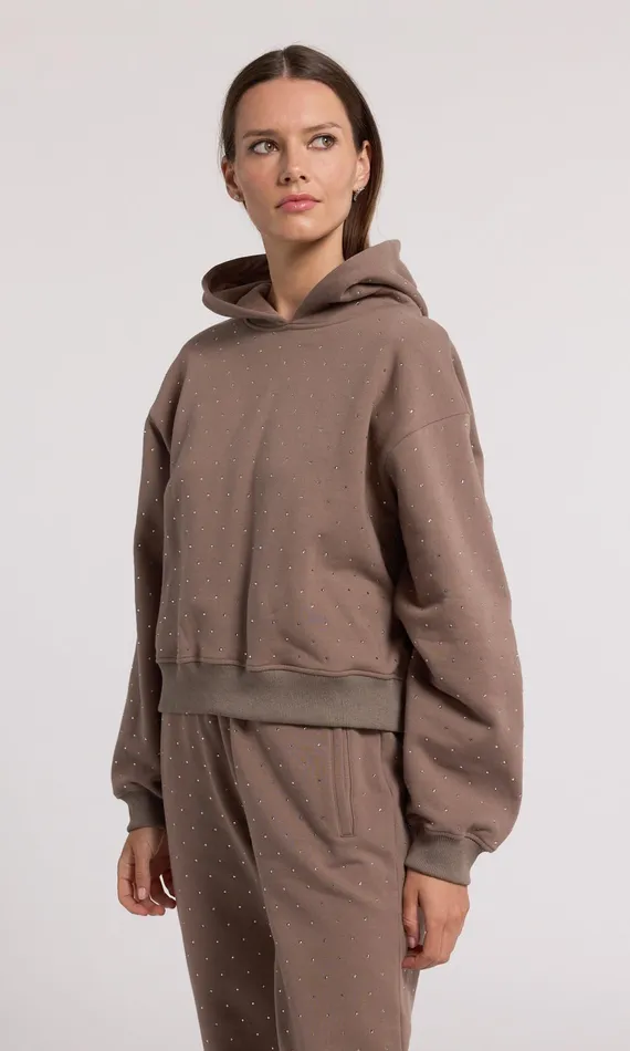 Sweaters and Sweatshirts Women Generation Love Clothing Renae Crystal Hoodie Truffletruffle