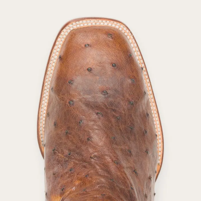 Western Men Stetson Jackson Boots Brown