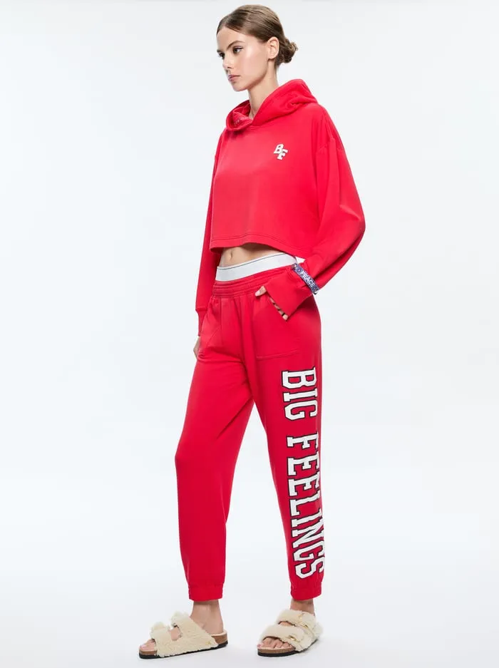 Women Alice Olivia Loungewear Big Feelings Tai Cropped Hoodie Red
