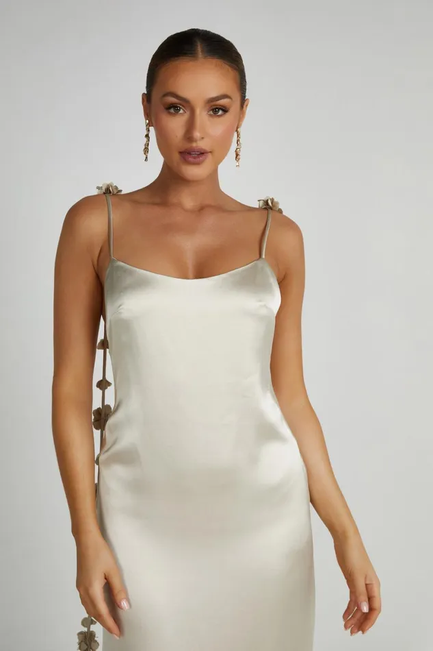Women Elenora Rose Gown 8211 Champagne Champagne Meshki Maxi Dresses