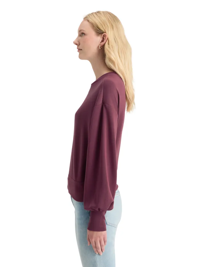 Women MODAL SWEATSHIRT Berry Scotch and Soda Sweatshirts and Hoodies