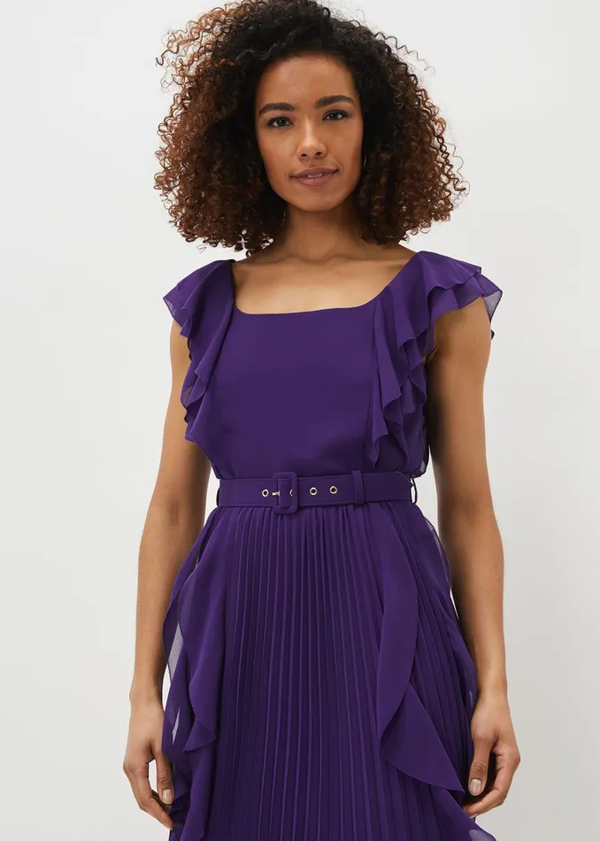 Women Phase Eight Dresses Bailey Pleated Dress