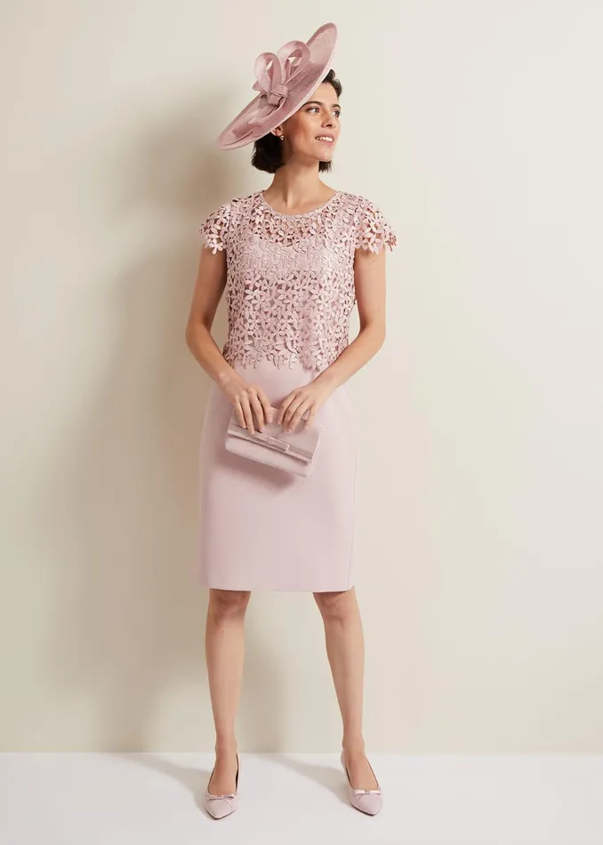 Women Phase Eight Dresses Daisy Lace Midi Dress