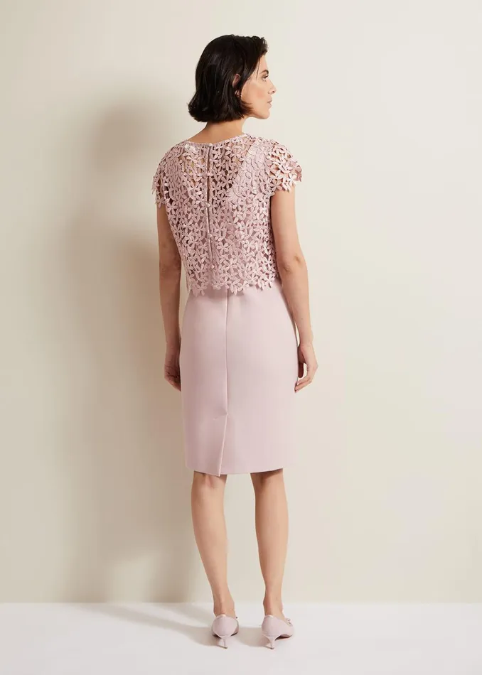 Women Phase Eight Dresses Daisy Lace Midi Dress