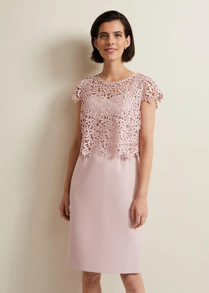 Women Phase Eight Dresses Daisy Lace Midi Dress