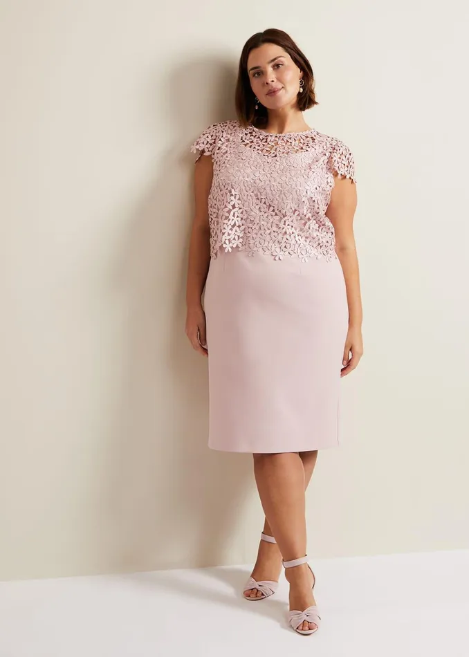 Women Phase Eight Dresses Daisy Lace Midi Dress