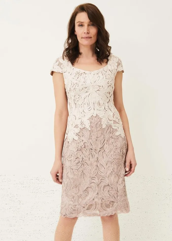 Women Phase Eight Dresses Jennifer Tapework Lace Dress