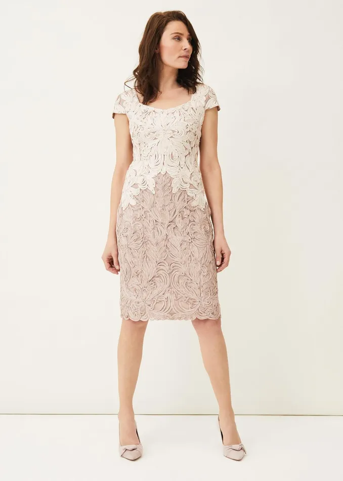 Women Phase Eight Dresses Jennifer Tapework Lace Dress