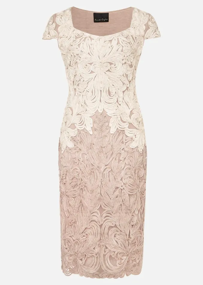 Women Phase Eight Dresses Jennifer Tapework Lace Dress