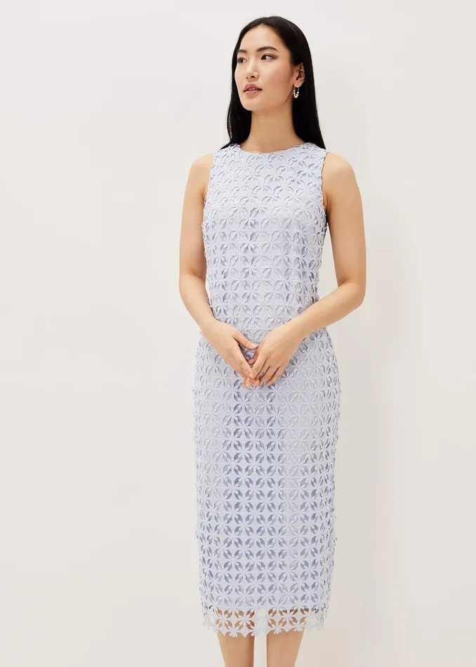 Women Phase Eight Dresses Novah Lace Midi Dress