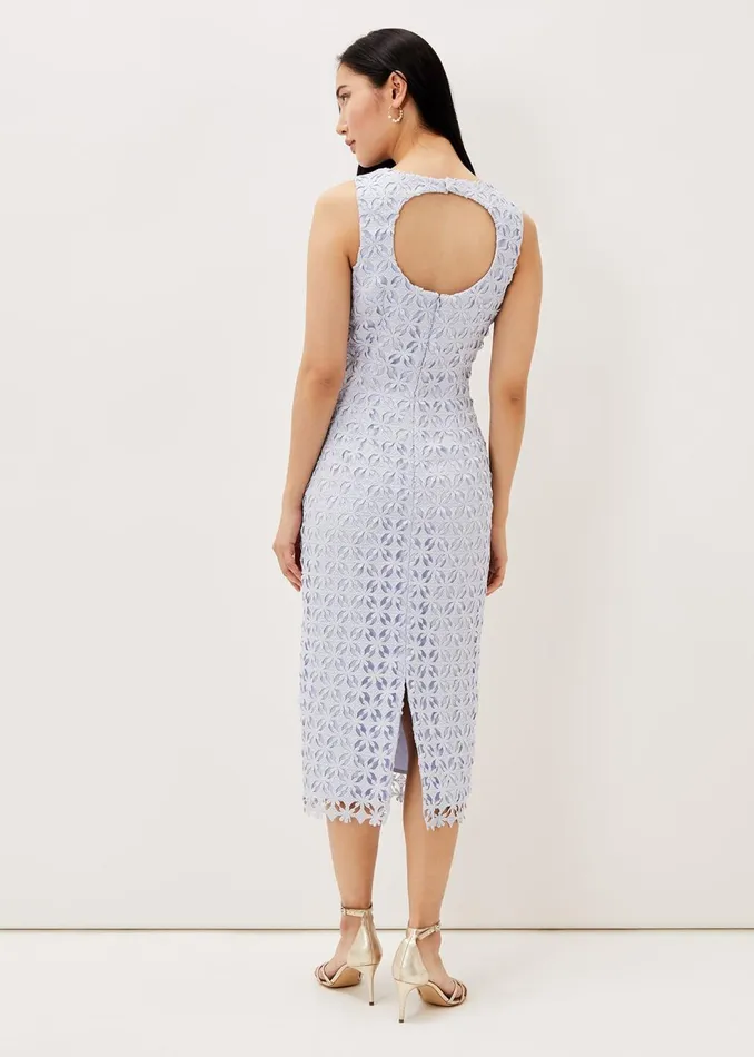 Women Phase Eight Dresses Novah Lace Midi Dress