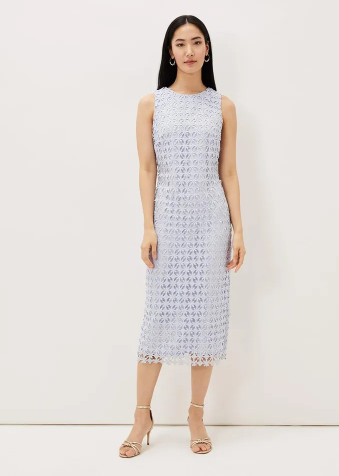 Women Phase Eight Dresses Novah Lace Midi Dress
