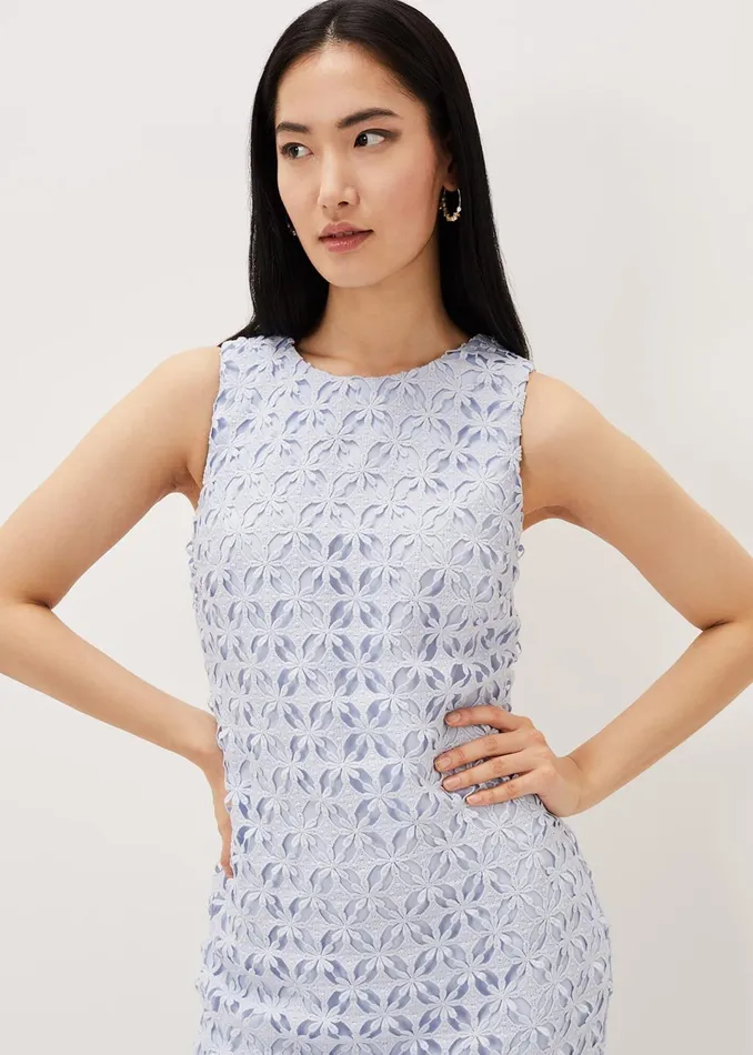 Women Phase Eight Dresses Novah Lace Midi Dress