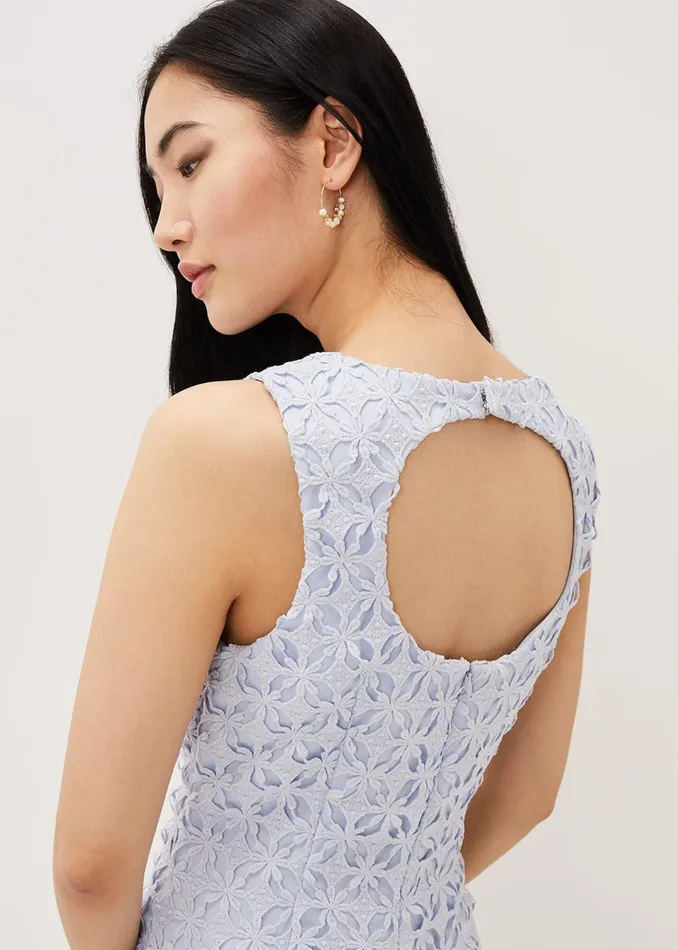 Women Phase Eight Dresses Novah Lace Midi Dress